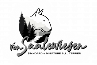 Logo Bullterrier von Saalewiesen